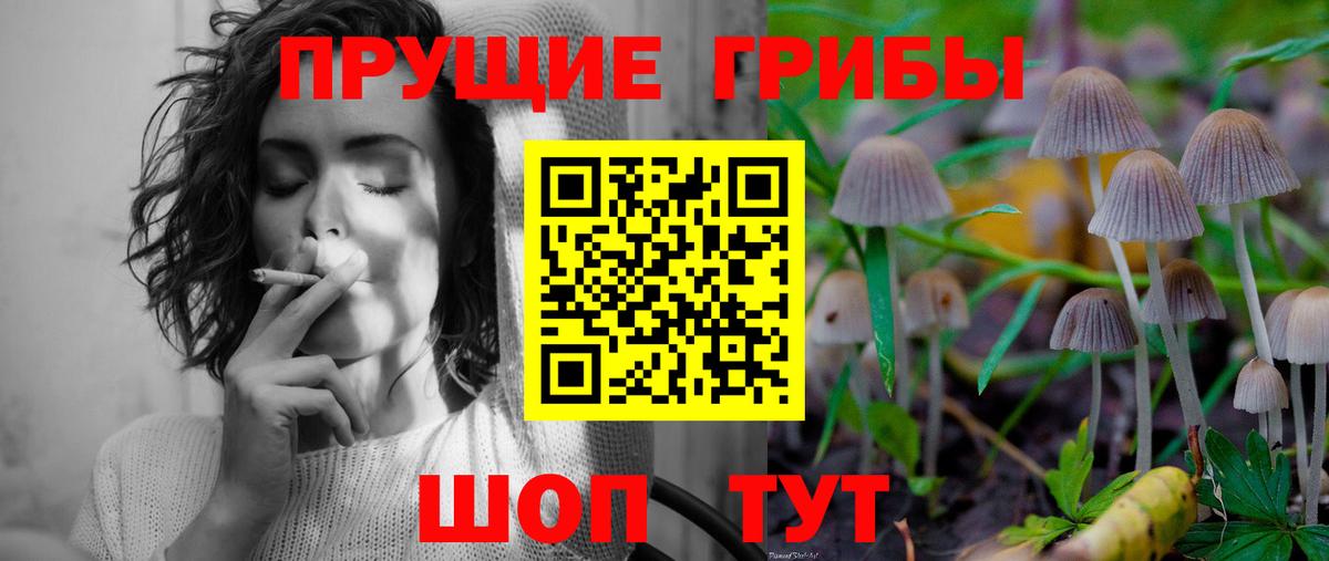Вятские Поляны  Псилоцибиновые грибы прущие грибы  Вход с VPN  купить наркотик  Галлюциногенные грибы мицелий 
