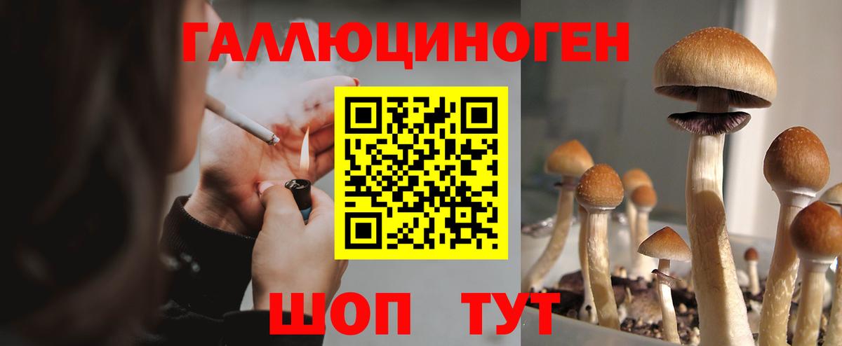Галлюциногенные грибы ЛСД Вятские Поляны